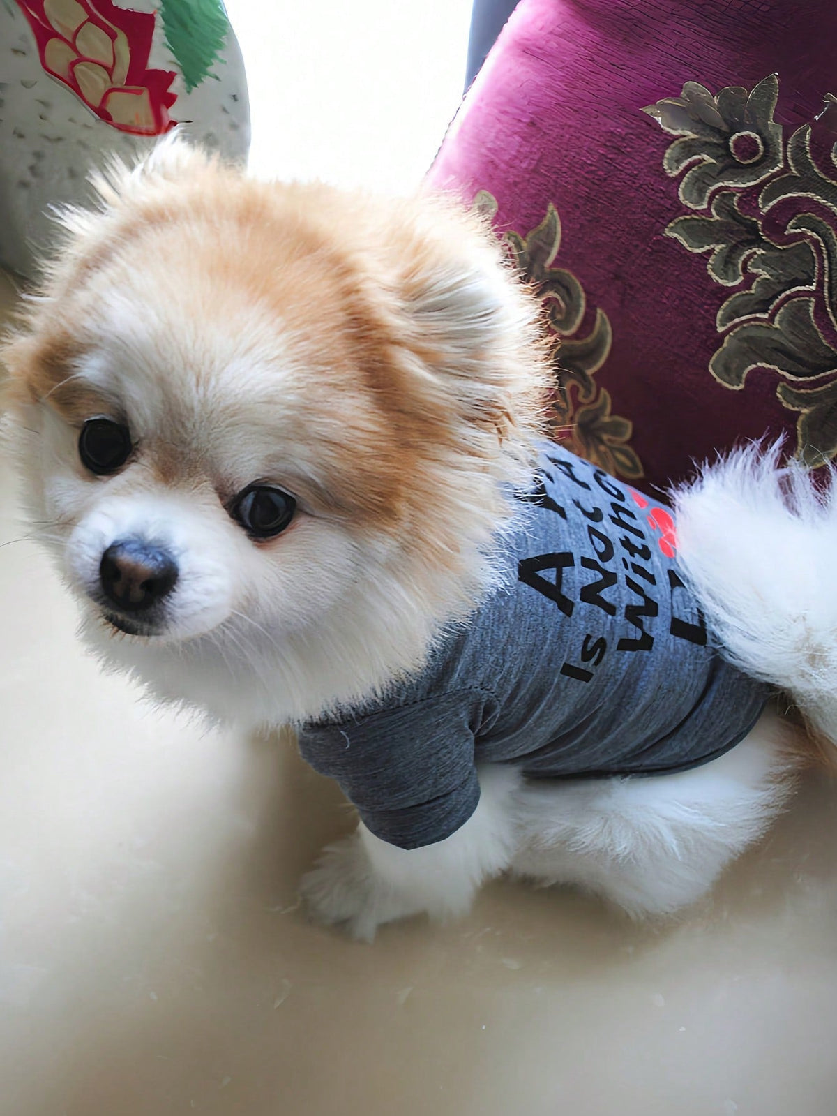 2pcs Dog Clothes Summer Lightweight Cute Breathable Small Dog Vest T-Shirt Suit, For Small/Medium Breeds