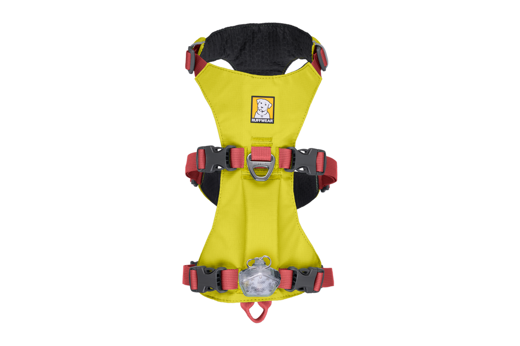 Flagline™ Dog Harness with Handle