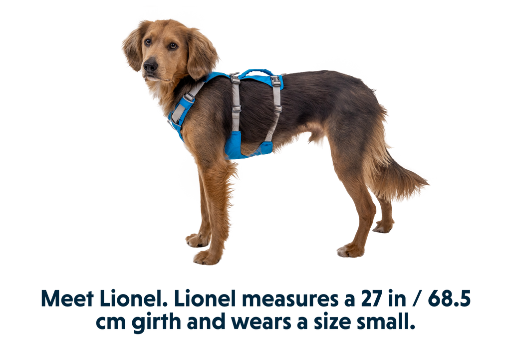 Flagline™ Dog Harness with Handle
