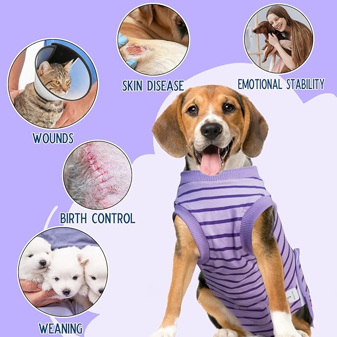 Dog Recovery Suit, Surgical Recovery Suit for Male Female Dogs Cats Spayed Onesie After Surgery, Dog Post Surgery Suit Anti Licking & Biting Surgical Shirt with Pee Hole，Purple Medium