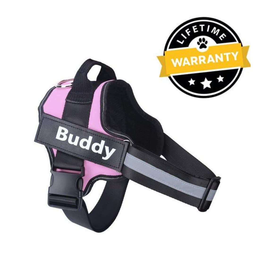 No Pull Dog Harness Australia | Easy On/Off in 2 Seconds
