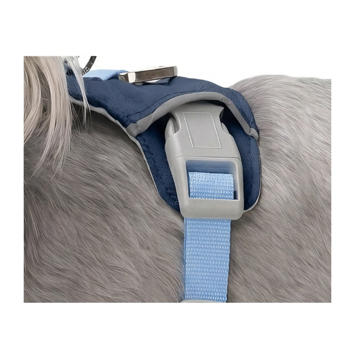 Cloud-Lite™ Dog Harness