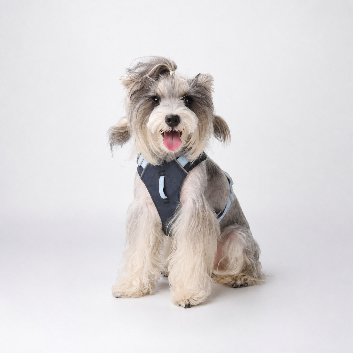 Cloud-Lite™ Dog Harness