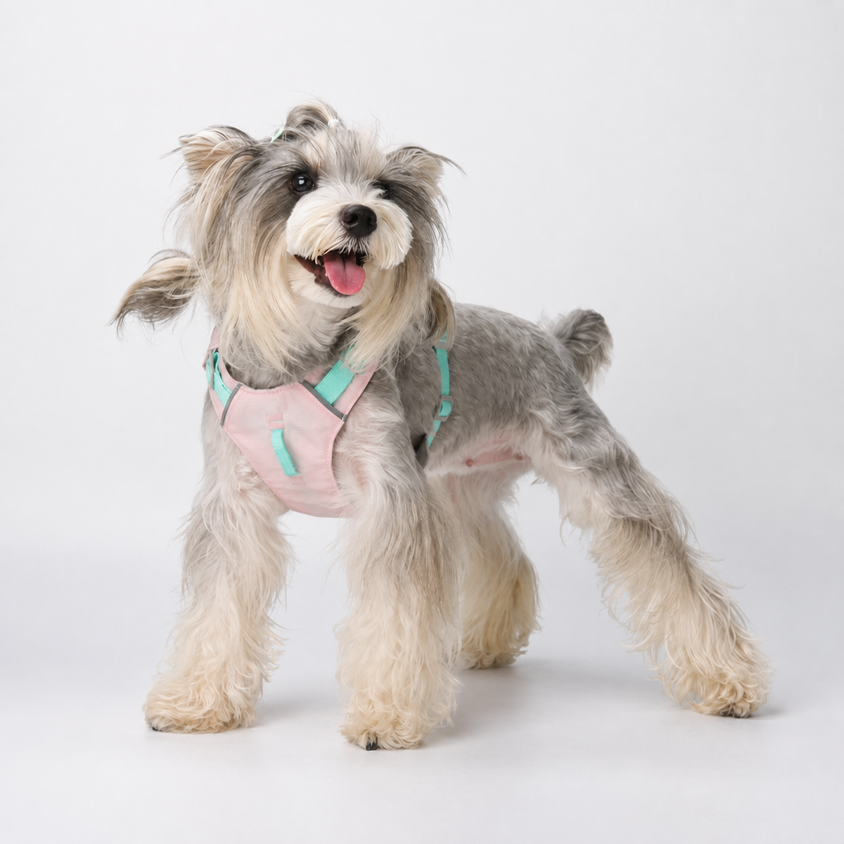 Cloud-Lite™ Dog Harness