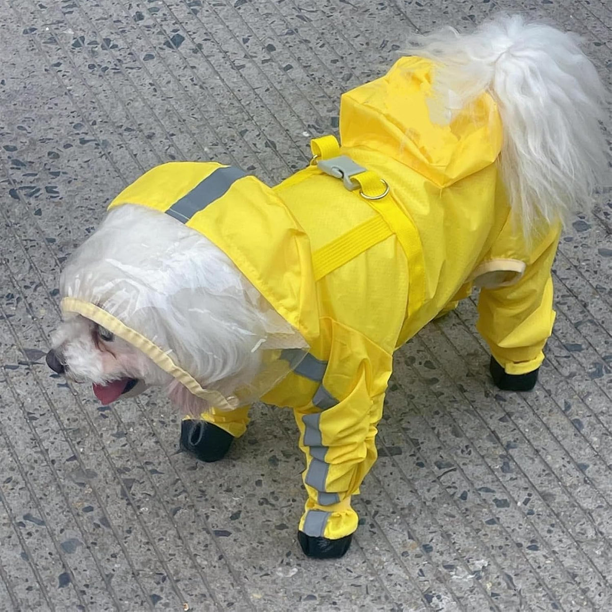 Waterproof Dog Raincoat,Full Coverage 4 Legs Dog Rain Jacket for Small Dogs,Pet Rain Coat with Hood,Reflective Strips&Leash Hole Outdoor Raincoat (Medium（for Weight 5.1-8.1 lb）, Blue)